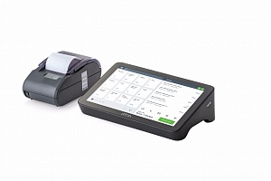 POS-система АТОЛ Strike Core 8.9" АТОЛ 20Ф с ФН 36 мес., Frontol xPOS